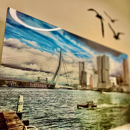 Bed And Breakfast Rotterdam 住宿加早餐酒店